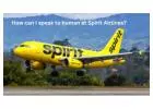 How can I speak to human at Spirit Airlines?