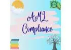 Learn About AML Compliance From Academy of Internal Audit