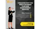 5 Reasons Why You Need a Business Plan and Management Services