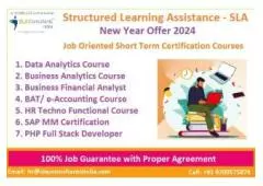 Business Analyst Course in Delhi, with Free Python by SLA Consultants Institute in Delhi, NCR, 