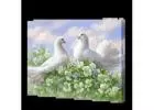 Bring Nature Indoors with Stunning Birds Diamond Paintings - Shop Now!