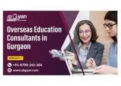 Best Overseas Education Consultants in Gurgaon - AbGyan Overseas