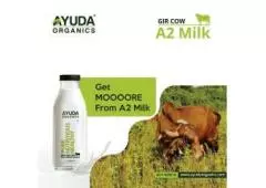 Find Fresh and Organic A2 Milk Near You For a Healthier Choice