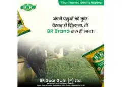 Guar Gum in Haryana