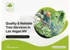 Quality & Reliable Tree Services in Las Vegas NV