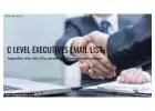 Get the B2B C Level Executives Email List from InfoGlobalData