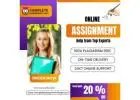 Online Assignment Service