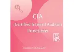 Learn CIA Functions From the Academy of Internal Audit