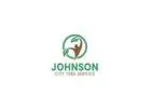 Top Tree Service in Johnson City,