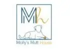 Molly's Mutt House Doggie Daycare