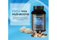 Rejuvenics Focus Max Mushroom Gummies - Buy Online