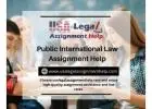Public International Law Assignment Help legal body and manages governing society