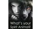 Spiritual Healer Near Me: Exploring Animals as Sources of Guidance【✚２７７２５７７０３７６】
