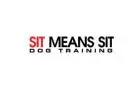 Sit Means Sit Dog Training Syracuse