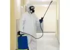 Pest Control Cleaning Services UK